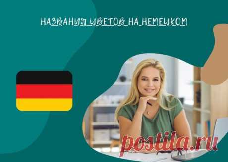 Названия Цветов на Немецком: Яркая Палитра Вашего Языка

Язык — это не только средство общения, но и отражение культуры, ассоциаций и восприятия мира.

Одним из интересных аспектов языка является способ, которым он называет цвета.

В немецком языке существует множество разнообразных названий цветов, каждый из которых несет свой смысл и ассоциации.

Вот несколько названий цветов на немецком языке:

Rot (Рот) - Красный:
Красный цвет символизирует страсть, энергию и силу. Это...