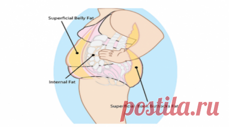 Эффективный способ избавиться от висцерального жира! Отличный рецепт, который стоит запомнить!