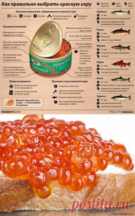 Как выбрать красную икру: 8 удачных правил.