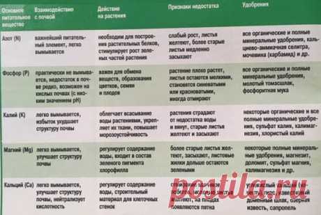 САД - ОГОРОД
Важнейшие питательные вещества для растений.
