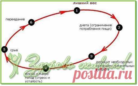 Почему не работают диеты?