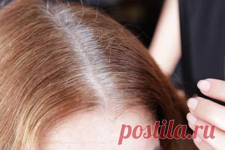 Почему седеют волосы: 13 фактов, которые все объясняют – Medaboutme.ru