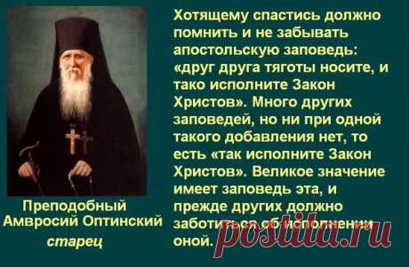 оптинские старцы: 6  изображений найдено в Яндекс.Картинках