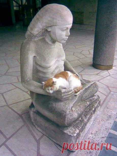 Статуи и кошки - лучшие друзья - Нет скуки.ру. Юмор, приколы, смешные картинки и разные интересности..