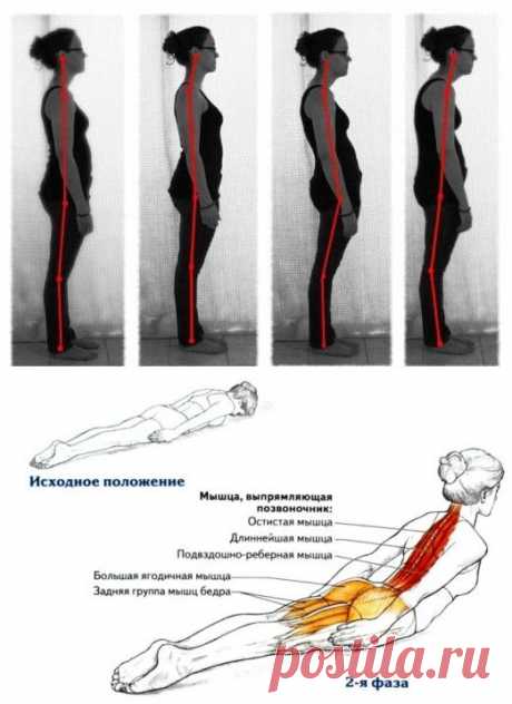 Одно-единственное упражнение, которое исправит Вашу осанку