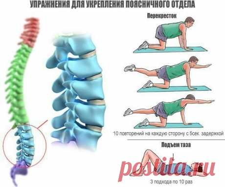 Простые упражнения для укрепления позвоночника.