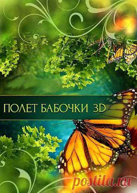 Фильм &quot;Полет бабочки&quot; (&quot;Flight of the Monarch Butterfly&quot;) - смотреть легально и бесплатно онлайн на MEGOGO.NET