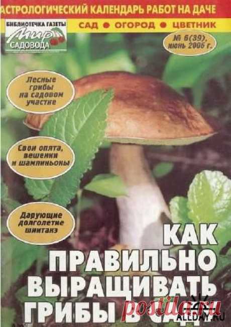 Как вырастить грибы вёшенки (+отличная книга про грибы)