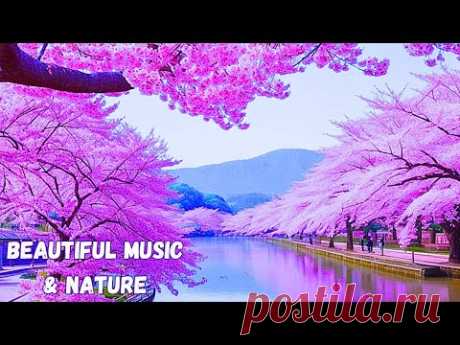 🌿🎶Nature's Symphony: Captivating Melodies for Ultimate Relaxation #nature #relax #sleepingmusic