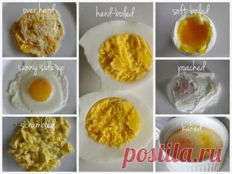 Способы приготовления яиц | ДОМАШНИЙ ОЧАГ