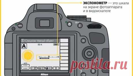 Как научиться фотографировать: пошаговая инструкция от Nikon