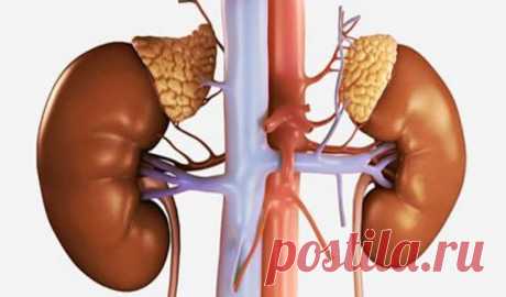 Ломкие ногти, выпадение волос и бессонница — виноваты надпочечники! Ломкие ногти, выпадение волос и бессонница — виноваты надпочечники! Старинный рецепт быстро решит эту проблему и не только…☝️☝️☝️Вы быстро заметите изменения к лучшему! А со временем