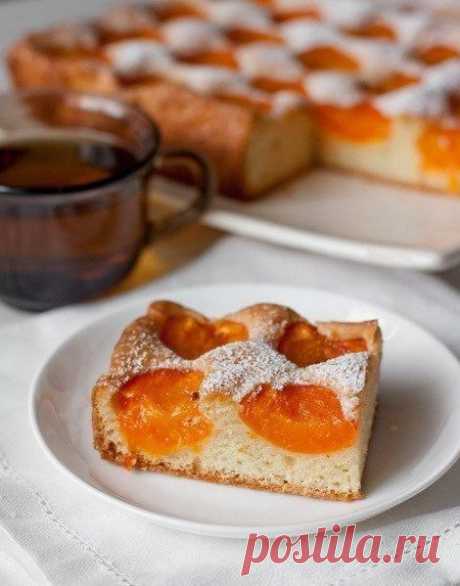 ​Бисквитный абрикосовый пирог — Sloosh – кулинарные рецепты