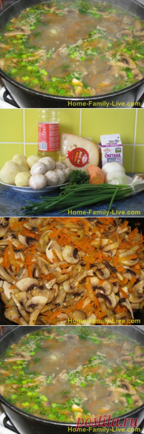 Суп с грибами - рецепт приготовления с фотоКулинарные рецепты