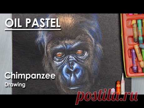 How to Draw Ape Chimpanzee Monkey Face in Oil Pastel | steps to follow