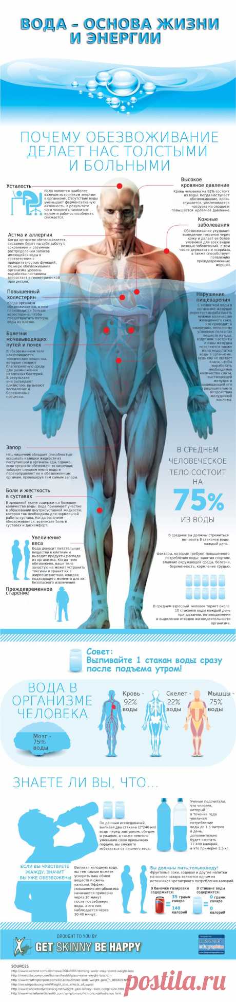 ИНФОГРАФИКА: Зачем нужно пить воду? | Лайфхакер