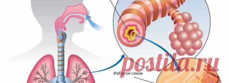 Выгоняем слизь и мокроту из горла и груди без таблеток: пять работающих средств | Волковыск.BY