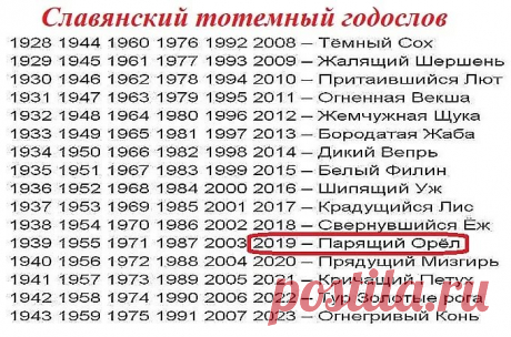 2019 год парящего орла по славянскому календарю: 11 тыс изображений найдено в Яндекс.Картинках
