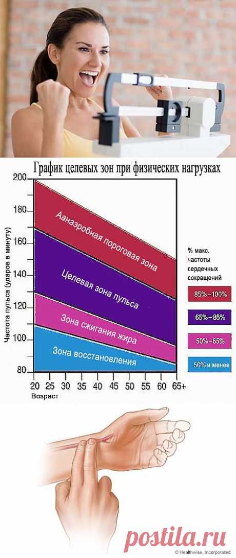 Мифы о сжигании жира | ПолонСил.ру - социальная сеть здоровья