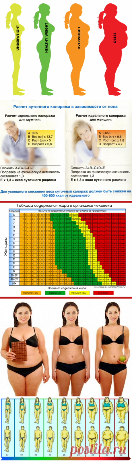 Рассчитать индекс массы тела для женщин с учетом возраста – Женский сайт Femme Today