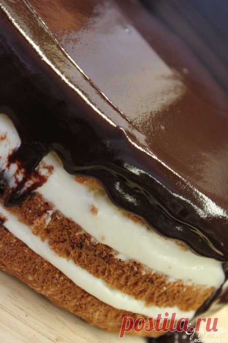 Бостонский кремовый торт (Boston cream pie) пользователя Ева