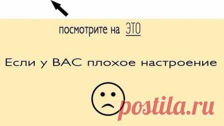 Мой Мир@Mail.Ru