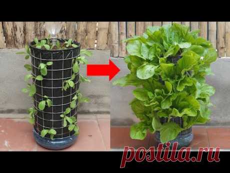 Как сделать вертикальный сад с автоматическим поливом для выращивания овощей