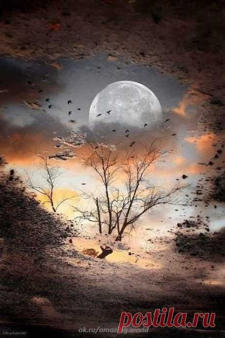 Лунный свет обладает способностью являть взгляду невидимое.. © Жозе Сарамаго