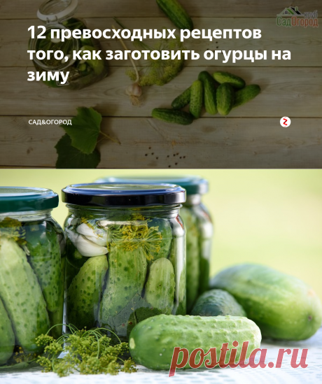 12 превосходных рецептов того, как заготовить огурцы на зиму | Сад&Огород | Яндекс Дзен