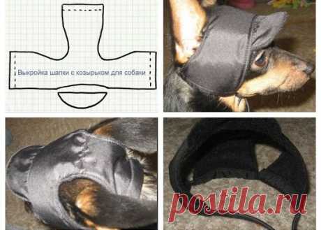 Шапки для собак своими руками: как сшить и связать головной убор
