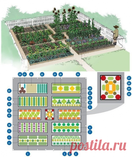 Долго искала схему овощной клумбы, чтоб все культуры находились в в... » Новости Казахстана, все последние новости России и новости мира, новость дня