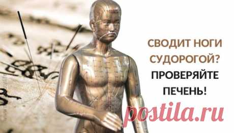 СВОДИТ СУДОРОГОЙ НОГИ? СОВЕТ: ПРОВЕРЬТЕ ПЕЧЕНЬ! Врачи древнего Китая оставили нам такой богатый и простой в применении справочник. Такое замечательное подспорье, которое мы только начинаем открывать для