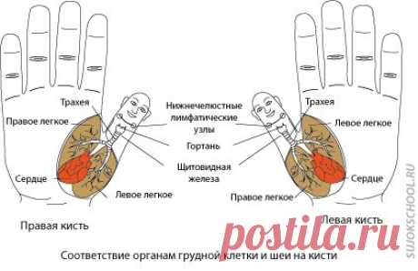 Помоги себе сам! Су-Джок-советы.