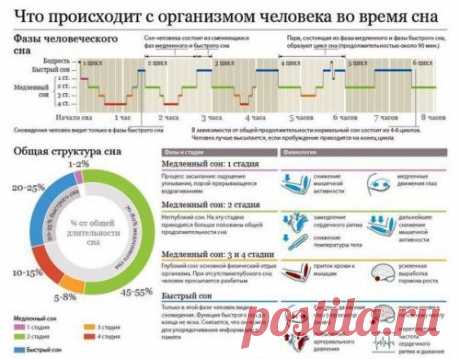 Сон.  Физиология сна.  Сон - универсальное явление живой природы. Это физиологическая потребность организма. Человек спит одну третью часть жизни. Во время сна снижаются активность сознания, реакции на сильные раздражители...