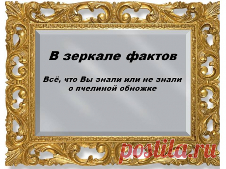 Все, что Вы знали или не знали о пчелиной обножке