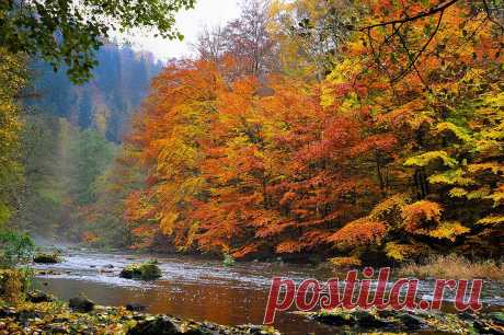 500px / Colorful Fall by Rob Janné