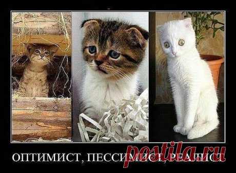 Мой Мир@Mail.Ru