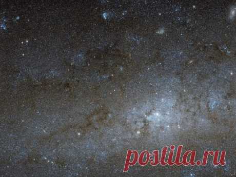 Центральная часть спиральной галактики NGC 247 в фокусе внимания космического телескопа Hubble / Интересный космос