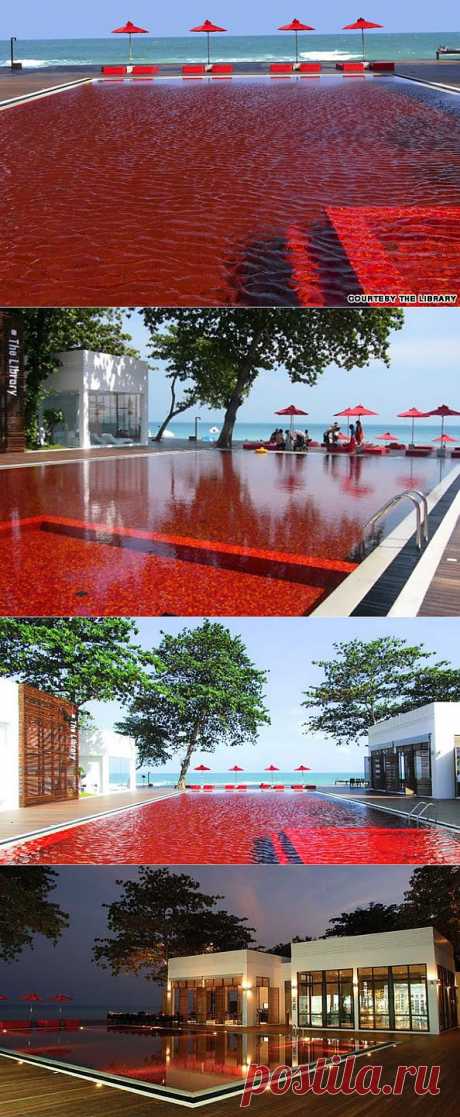 Бассейн с красной водой
Самуи, Таиланд. / InVkus: Самые необычные бассейны (с картинками)