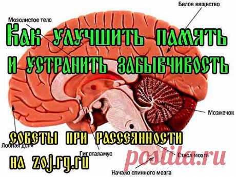 Что делать если у вас плохая память, рассеянность и забывчивость | Лечение народными средствами в домашних условиях