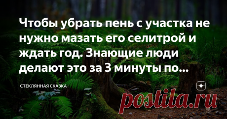 Чтобы убрать пень с участка не нужно мазать его селитрой и ждать год. Знающие люди делают это за 3 минуты по методу Циолковского До недавнего времени я был твёрдо убеждён, что главными врагами всех садоводов  дачников являются сорняки и всякая живность, которая вместо хозяев повадилась кушать урожай.  Ничего подобного! Самый страшный враг - пень. И ладно если дерево небольшое, например, вишня, походишь с лопатой вокруг него, выроешь ямку размером с кратер небольшого вулкан...