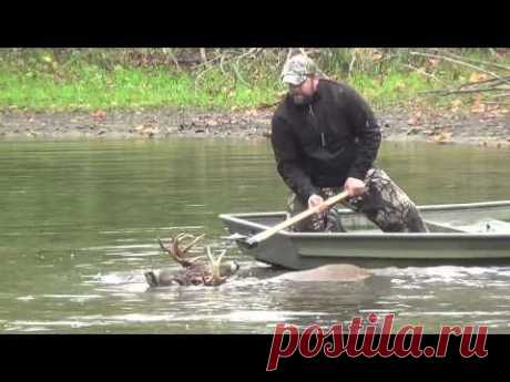 Veterinarian and his Son rescue a 10 Point Buck - YouTube