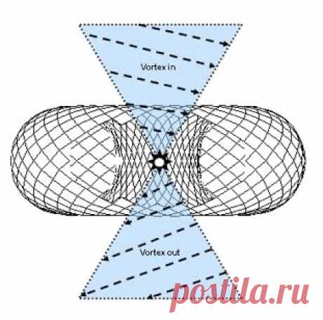 Свободная энергия биологическая функция состояния