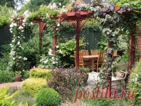 Пергола - оригинальное решение в оформлении сада.