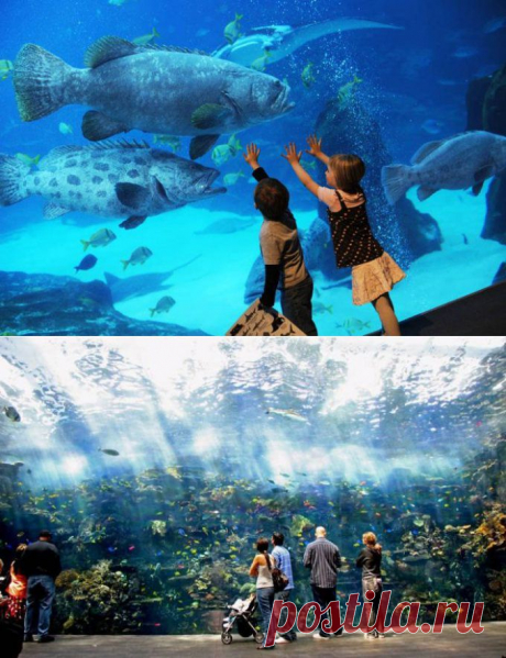 Огромный аквариум в Атланте.