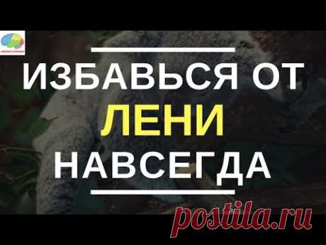 Нет Оправданий! Сила Самодисциплины - Брайан Трейси | Обзор Книги | Как избавиться от ЛЕНИ?