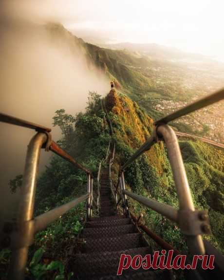 Лестница на острове Оаху, Гавайи.

Главное - не споткнуться.