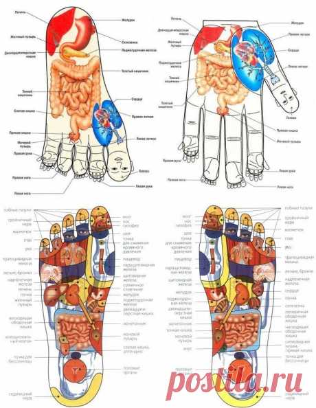 МАССАЖ СКОРЫЙ !!!  **Результат мгновенный -  это самые активные точки и чувствительные места. А именно: на подошвах ног, на ладонях. Метод массажа - надавливания или растирание.