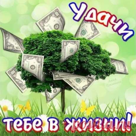 Одноклассники