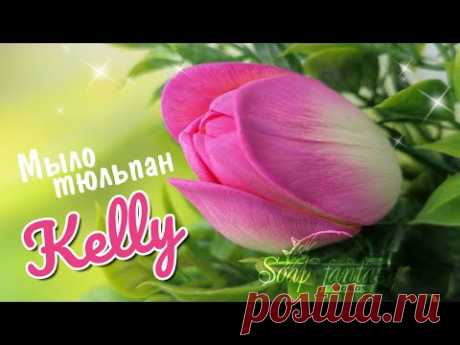 Заливка нежных тюльпанов "Kelly" для мыльных букетов